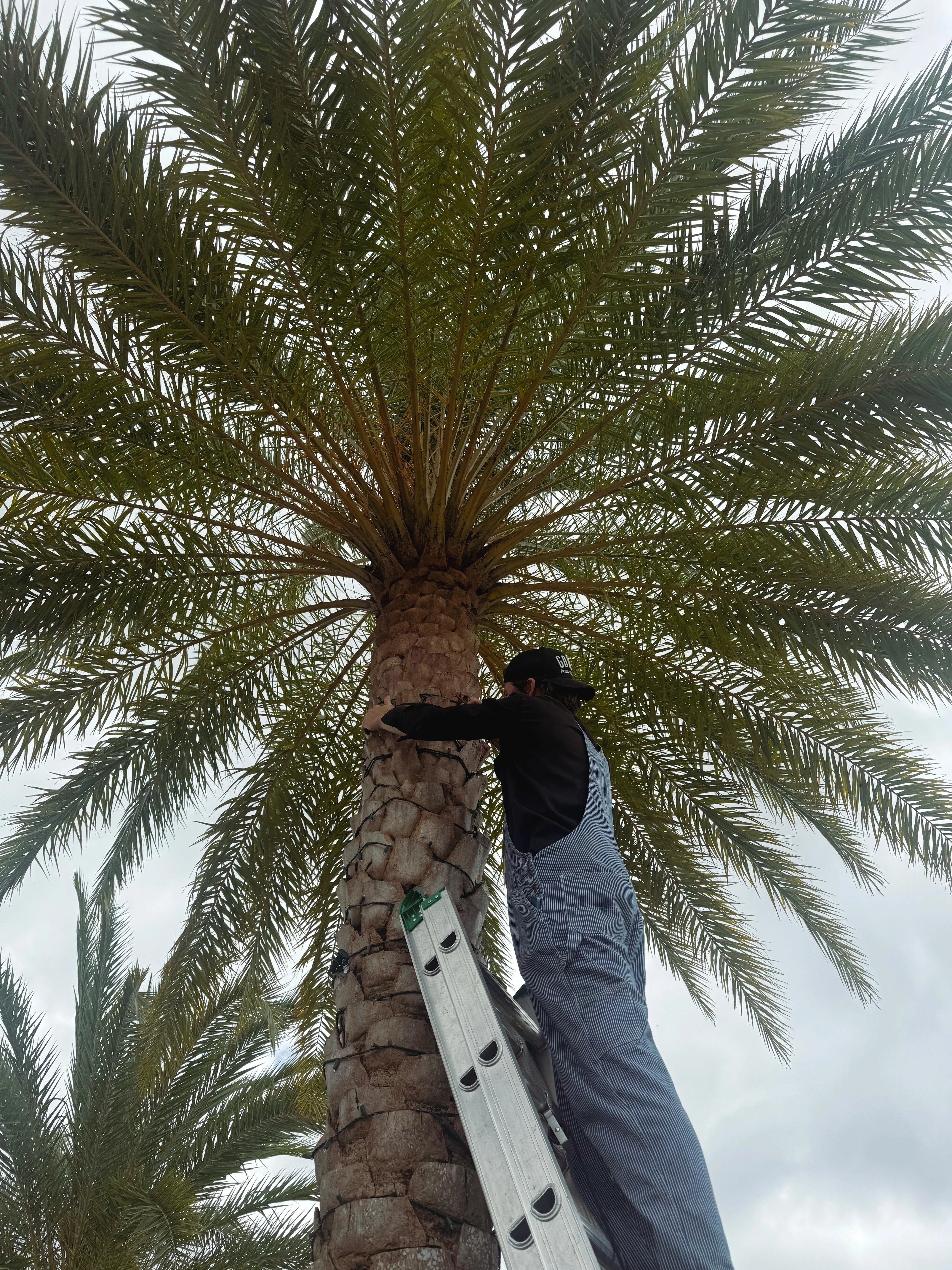 holiday and Christmas lighting installation in Lauderhill